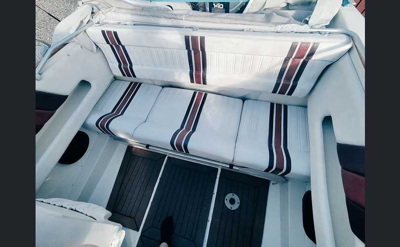 Flipper Flash 600 dc + traileri-kuva-2